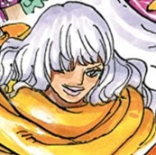 90122ea5 0d48 47d1 A506 A59fae1fe018jpeg — The power levels in one piece option 53