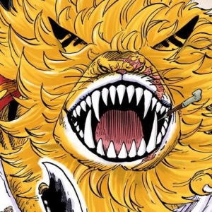 9b998381 3c9a 49b2 9728 102e962431e8jpeg — The power levels in one piece option 58