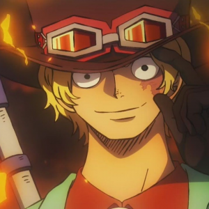 Ca4c7b8d Ea4e 4f63 B018 F8a5ca2b78e3jpeg — The power levels in one piece option 80