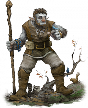Firbolgpng — The Races of Dungeons and Dragons option 9