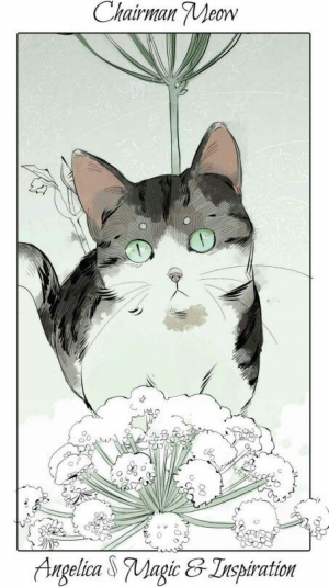 Chairman Meowjpg — The Shadowhunters Chronicles characters option 21