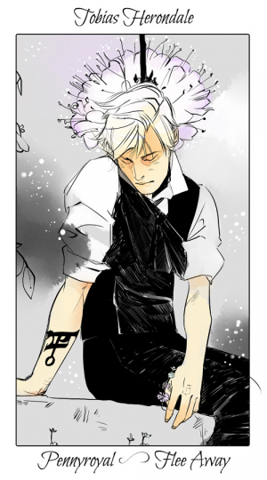 Tobias Herondalejpg — The Shadowhunters Chronicles characters option 101