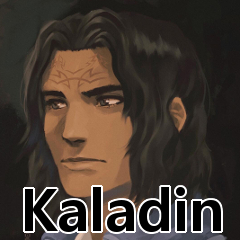 01 Kaladinjpg — The Stormlight Archive: Central Characters option 1