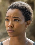 Bigahnosashapng — The Walking Dead Universe Main Characters option 24