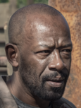 Seasonfivemorganjonespng — The Walking Dead Universe Main Characters option 141