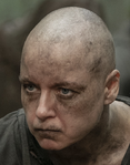 Seasontenalphapng — The Walking Dead Universe Main Characters option 148