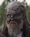Seasontenbetapng — The Walking Dead Universe Main Characters option 149