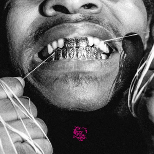 Flossjpg — Theneedledrop's Top 200 Albums of the Decade option 57