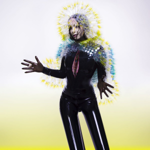 Vulnicura Jpg — Theneedledrop's Top 200 Albums of the Decade option 190