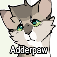 Adderpaw 2png — ThreeClans Comprehensive Tier List (1/13) option 2