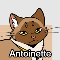 Antoinettepng — ThreeClans Comprehensive Tier List (1/13) option 7