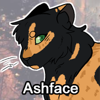 Ashfacepng — ThreeClans Comprehensive Tier List (1/13) option 10