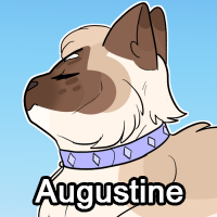 Augustinepng — ThreeClans Comprehensive Tier List (1/13) option 13