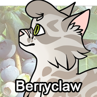Berryclawpng — ThreeClans Comprehensive Tier List (1/13) option 20
