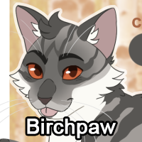 Birchpawpng — ThreeClans Comprehensive Tier List (1/13) option 22