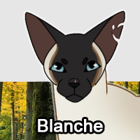 Blanchepng — ThreeClans Comprehensive Tier List (1/13) option 24