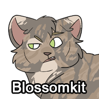 Blossomkitpng — ThreeClans Comprehensive Tier List (1/13) option 27