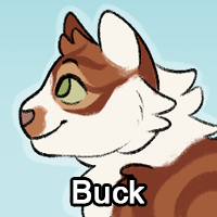 Buckpng — ThreeClans Comprehensive Tier List (1/13) option 33