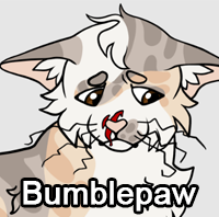 Bumblepawpng — ThreeClans Comprehensive Tier List (1/13) option 34