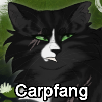 Carpfangpng — ThreeClans Comprehensive Tier List (1/13) option 38
