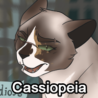Cassiopeiapng — ThreeClans Comprehensive Tier List (1/13) option 40