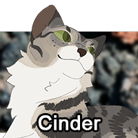 Cinderpng — ThreeClans Comprehensive Tier List (1/13) option 43