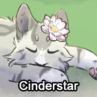 Cinderstarpng — ThreeClans Comprehensive Tier List (1/13) option 44