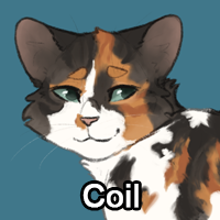 Coilpng — ThreeClans Comprehensive Tier List (1/13) option 49