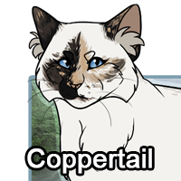 Coppertailpng — ThreeClans Comprehensive Tier List (1/13) option 51