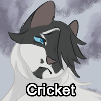 Cricketpng — ThreeClans Comprehensive Tier List (1/13) option 55