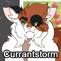 Currantstormpng — ThreeClans Comprehensive Tier List (1/13) option 58