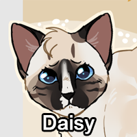Daisypng — ThreeClans Comprehensive Tier List (1/13) option 62