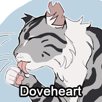 Doveheartpng — ThreeClans Comprehensive Tier List (1/13) option 70