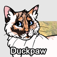 Duckpawpng — ThreeClans Comprehensive Tier List (1/13) option 72