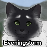 Eveningstormpng — ThreeClans Comprehensive Tier List (1/13) option 80