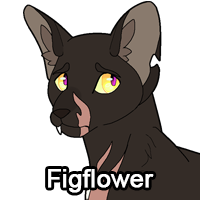 Figflowerpng — ThreeClans Comprehensive Tier List (1/13) option 90