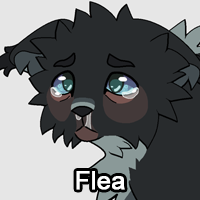 Fleapng — ThreeClans Comprehensive Tier List (1/13) option 100