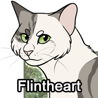 Flintheartpng — ThreeClans Comprehensive Tier List (1/13) option 102