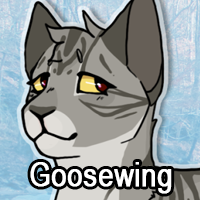 Goosewingpng — ThreeClans Comprehensive Tier List (1/13) option 108