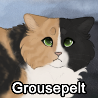 Grousepeltpng — ThreeClans Comprehensive Tier List (1/13) option 110