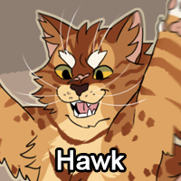 Hawkpng — ThreeClans Comprehensive Tier List (1/13) option 115