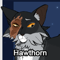Hawthornpng — ThreeClans Comprehensive Tier List (1/13) option 117