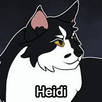 Heidipng — ThreeClans Comprehensive Tier List (1/13) option 120