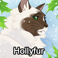 Hollyfurpng — ThreeClans Comprehensive Tier List (1/13) option 124