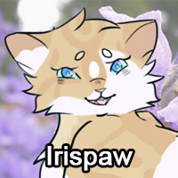 Irispawpng — ThreeClans Comprehensive Tier List (1/13) option 135