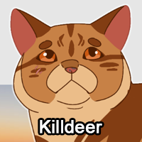 Killdeerpng — ThreeClans Comprehensive Tier List (1/13) option 144