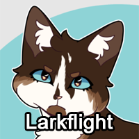 Larkflightpng — ThreeClans Comprehensive Tier List (1/13) option 147