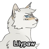 Lilypawpng — ThreeClans Comprehensive Tier List (1/13) option 151