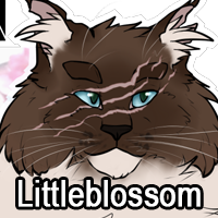 Littleblossompng — ThreeClans Comprehensive Tier List (1/13) option 156