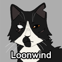 Loonwindpng — ThreeClans Comprehensive Tier List (1/13) option 158